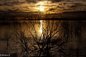 IMG_0074