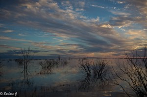 IMG_0086