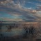 IMG_0086