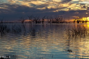 IMG_0098