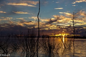 IMG_0111