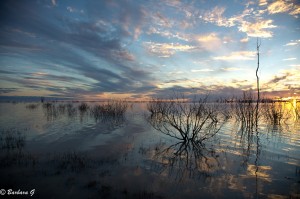 IMG_0114