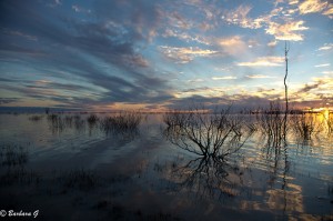 IMG_0115