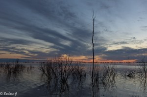 IMG_0135