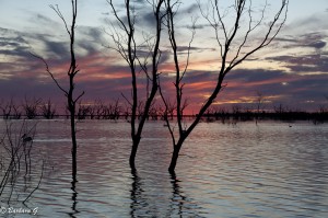 IMG_0151