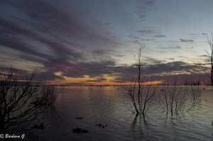 IMG_0153