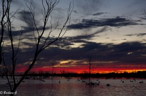 IMG_0182