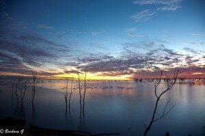 IMG_0188
