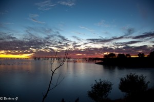 IMG_0190