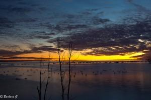 IMG_0194