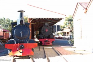 IMG_0207
