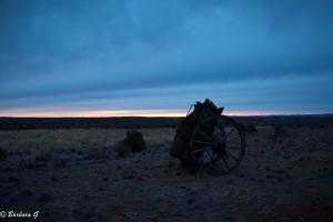 IMG_0237