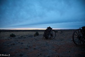 IMG_0239
