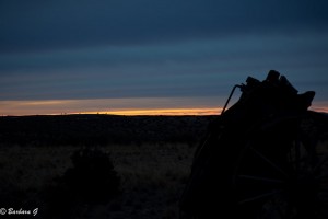 IMG_0242