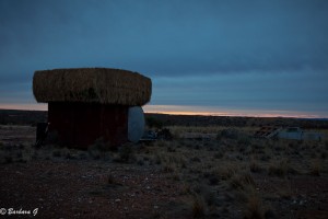 IMG_0247