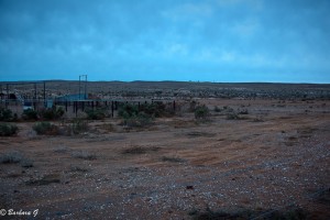 IMG_0249