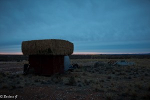 IMG_0252