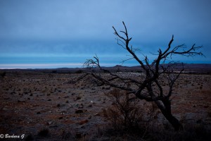 IMG_0269