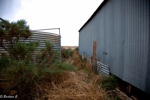 IMG_0285