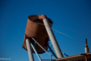 IMG_0370