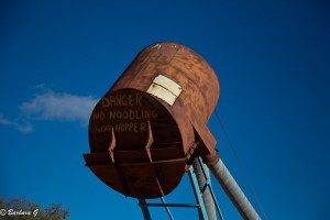 IMG_0380