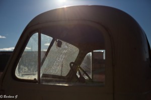 IMG_0381