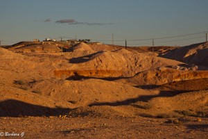 IMG_0419