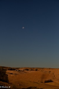 IMG_0422
