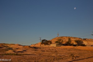 IMG_0425