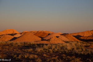 IMG_0439