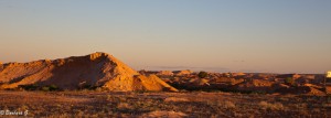 IMG_0440