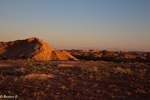 IMG_0442