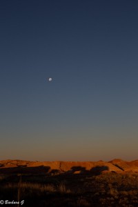 IMG_0444
