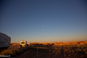 IMG_0446