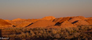IMG_0447