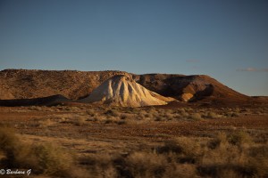 IMG_0508
