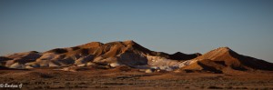 IMG_0524