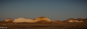 IMG_0525