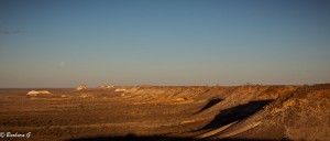 IMG_0531