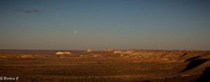 IMG_0538
