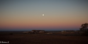 IMG_0572