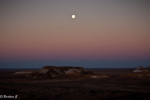 IMG_0578