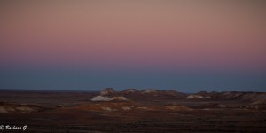 IMG_0581