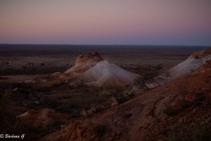 IMG_0593