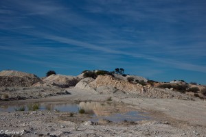 IMG_0625
