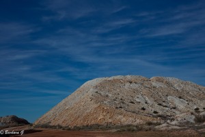 IMG_0632