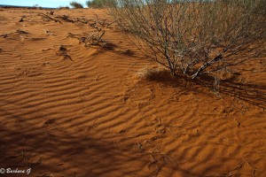 IMG_0653