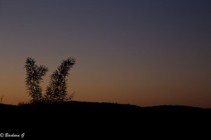 IMG_1073