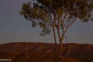 IMG_1078