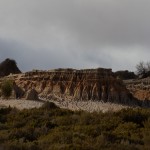 IMG_1524